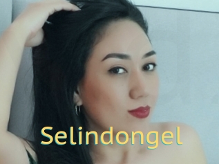 Selindongel