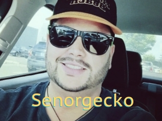 Senorgecko