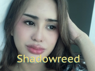 Shadowreed