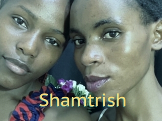 Shamtrish