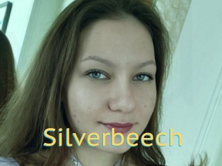 Silverbeech