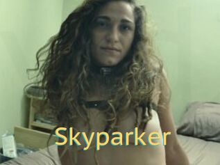 Skyparker
