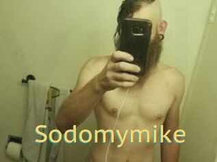 Sodomymike