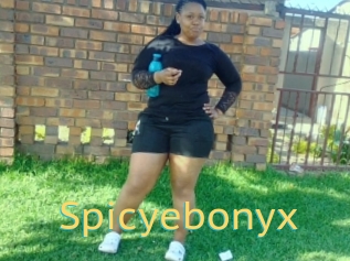 Spicyebonyx