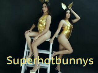 Superhotbunnys