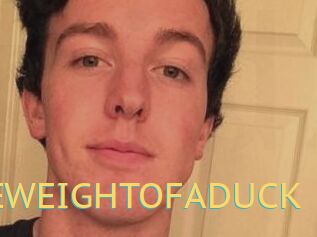 THEWEIGHTOFADUCK