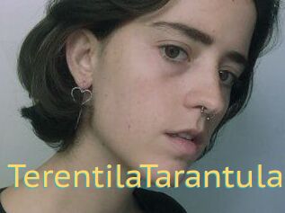 TerentilaTarantula
