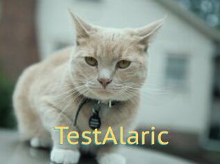TestAlaric