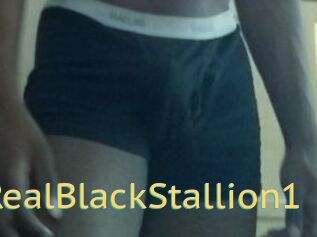 TheRealBlackStallion1