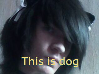 This_is_dog