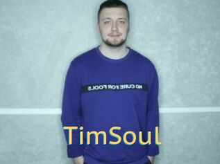 TimSoul