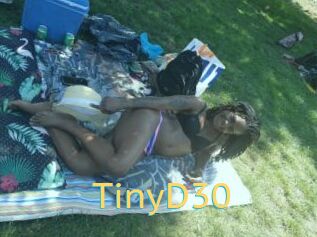 TinyD30