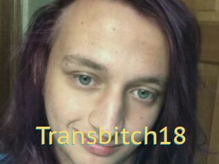 Transbitch18