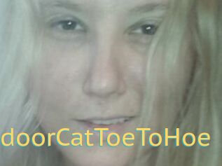 TravellingIndoorCatToeToHoe