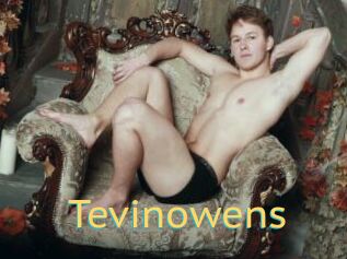 Tevinowens