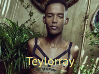 Teylorray