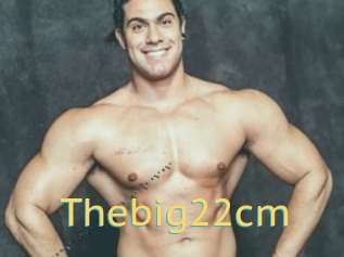 Thebig22cm