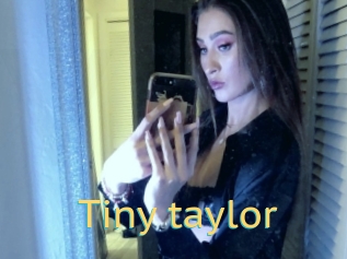Tiny_taylor