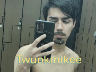 Twunkmikee