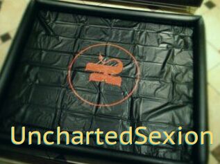 UnchartedSexion