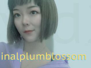 Vaginalplumblossom