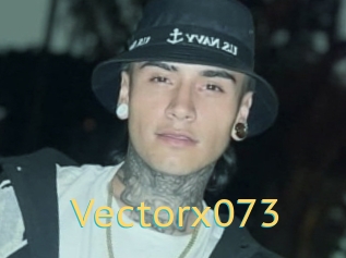 Vectorx073