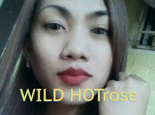 WILD_HOTrose