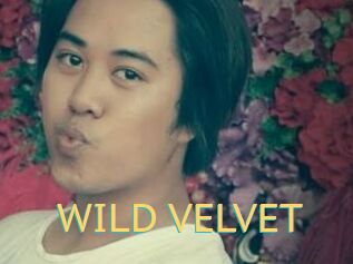 WILD_VELVET