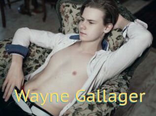 Wayne_Gallager