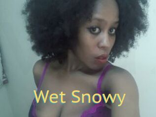 Wet_Snowy