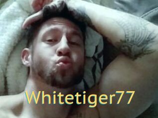 Whitetiger77