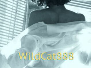 WildCat888