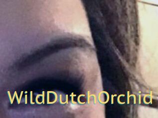 WildDutchOrchid