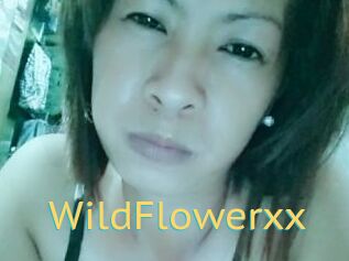WildFlowerxx