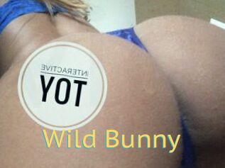 Wild_Bunny_