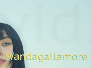 Wandagallamore
