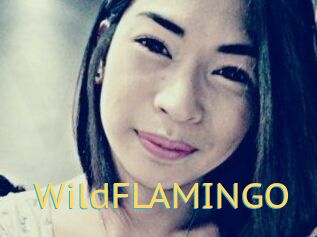 WildFLAMINGO