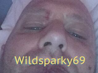 Wildsparky69