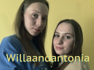 Willaandantonia