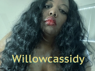 Willowcassidy