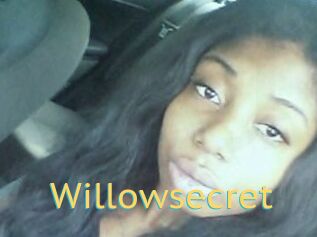 Willow_secret