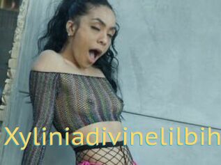 Xyliniadivinelilbih