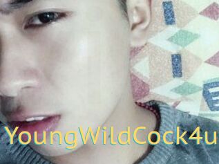 YoungWildCock4u