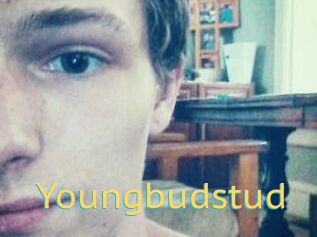 Youngbudstud