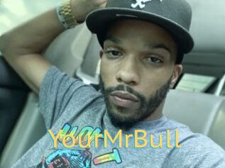 YourMrBull