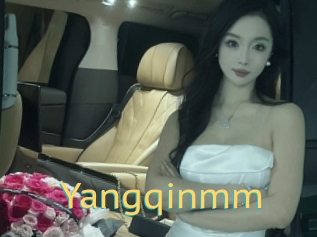 Yangqinmm