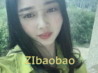 ZIbaobao