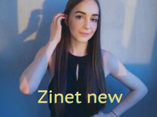 Zinet_new