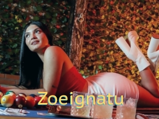 Zoeignatu